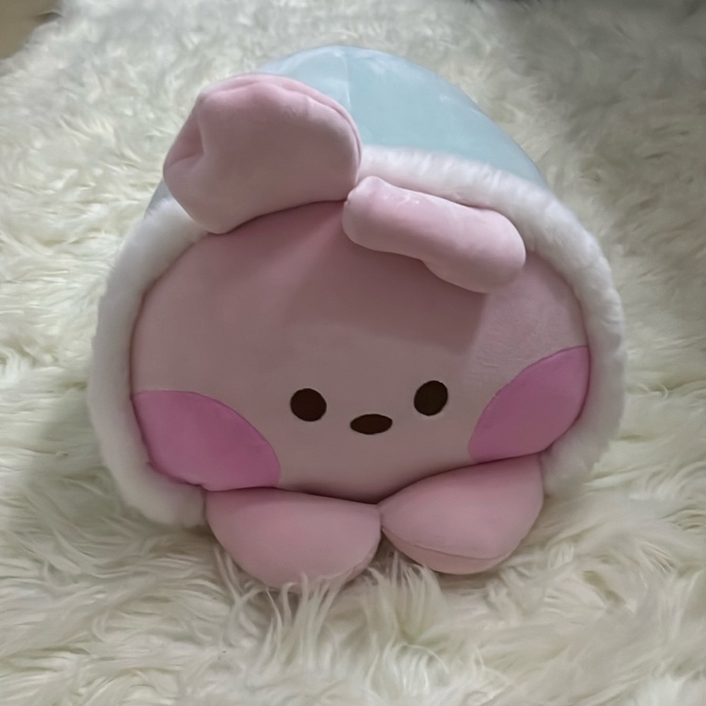 Bt21 Cooky Plush